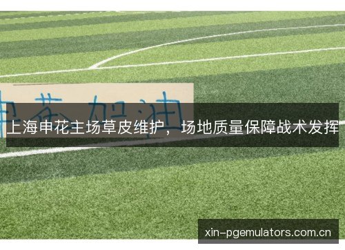 上海申花主场草皮维护，场地质量保障战术发挥